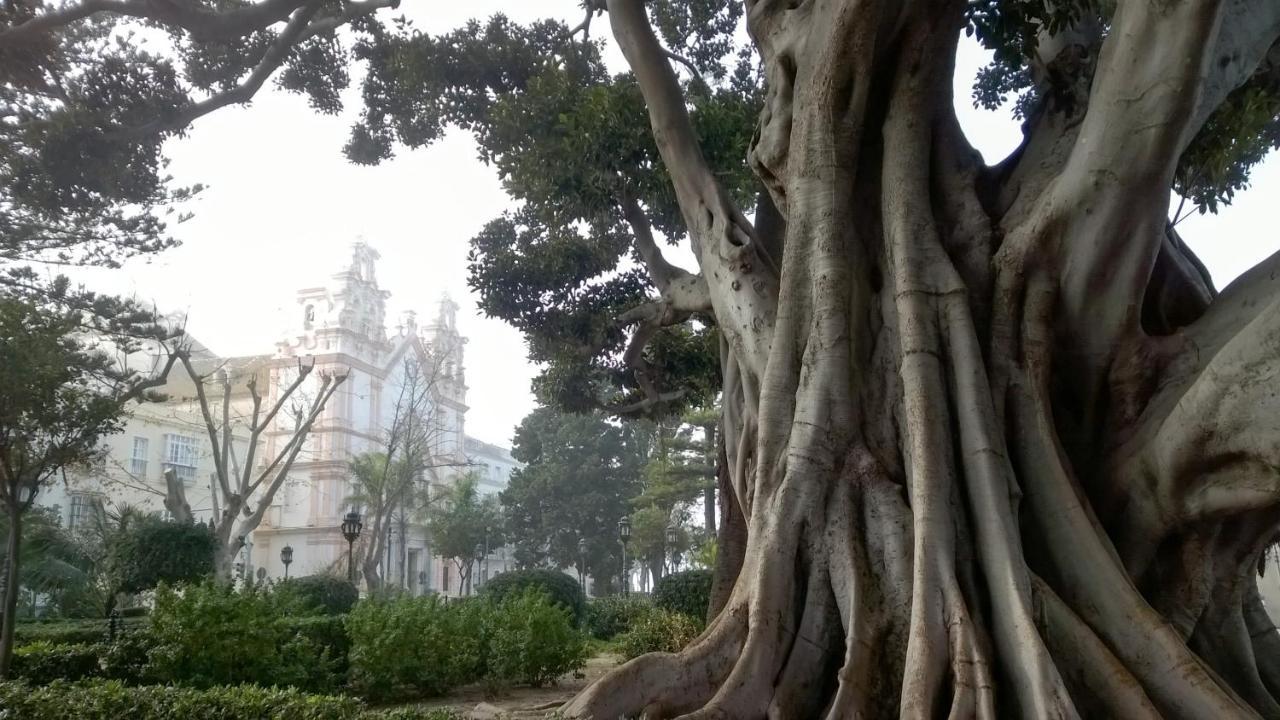 Apartamento "El Nido Del Cuco" Cadiz Luaran gambar